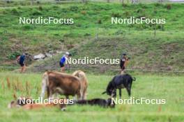 04.09.2024, Lenzerheide, Switzerland (SUI): Vetle Sjaastad Christiansen (NOR), Sturla Holm Laegreid (NOR), Johannes Dale-Skjevdal (NOR), (l-r) - Biathlon summer training, Lenzerheide (SUI). www.nordicfocus.com. © Manzoni/NordicFocus. Every downloaded picture is fee-liable.