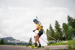 15.06.2024, Lavaze, Italy (ITA): Hanna Oeberg (SWE) - Biathlon summer training, Lavaze (ITA). www.nordicfocus.com. © Barbieri/NordicFocus. Every downloaded picture is fee-liable.