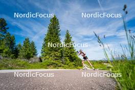 28.06.2024, Lavaze, Italy (ITA): Ida Lien (NOR) - Biathlon summer training, Lavaze (ITA). www.nordicfocus.com. © Barbieri/NordicFocus. Every downloaded picture is fee-liable.