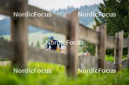 15.06.2024, Lavaze, Italy (ITA): Jesper Nelin (SWE) - Biathlon summer training, Lavaze (ITA). www.nordicfocus.com. © Barbieri/NordicFocus. Every downloaded picture is fee-liable.