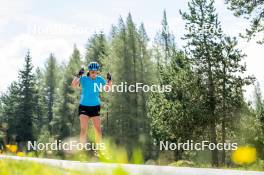 02.09.2024, Font-Romeu, France (FRA): Ella Halvarsson (SWE) - Biathlon summer training, Font-Romeu (FRA). www.nordicfocus.com. © Authamayou/NordicFocus. Every downloaded picture is fee-liable.