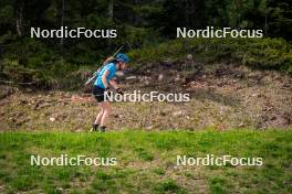 06.06.2024, Lavaze, Italy (ITA): Hanna Oeberg (SWE) - Biathlon summer training, Lavaze (ITA). www.nordicfocus.com. © Barbieri/NordicFocus. Every downloaded picture is fee-liable.