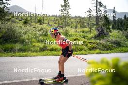 19.06.2024, Lavaze, Italy (ITA): Dorothea Wierer (ITA) - Biathlon summer training, Lavaze (ITA). www.nordicfocus.com. © Vanzetta/NordicFocus. Every downloaded picture is fee-liable.