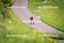 19.06.2024, Lavaze, Italy (ITA): Dorothea Wierer (ITA) - Biathlon summer training, Lavaze (ITA). www.nordicfocus.com. © Vanzetta/NordicFocus. Every downloaded picture is fee-liable.