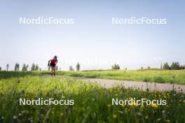 19.06.2024, Lavaze, Italy (ITA): Dorothea Wierer (ITA) - Biathlon summer training, Lavaze (ITA). www.nordicfocus.com. © Vanzetta/NordicFocus. Every downloaded picture is fee-liable.