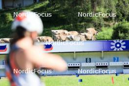 15.07.2024, Lenzerheide, Switzerland (SUI): Deedra Irwin (USA) - Biathlon summer training, Lenzerheide (SUI). www.nordicfocus.com. © Manzoni/NordicFocus. Every downloaded picture is fee-liable.