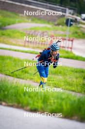 15.06.2024, Lavaze, Italy (ITA): Jesper Nelin (SWE) - Biathlon summer training, Lavaze (ITA). www.nordicfocus.com. © Barbieri/NordicFocus. Every downloaded picture is fee-liable.