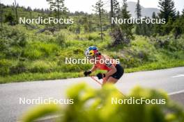 19.06.2024, Lavaze, Italy (ITA): Dorothea Wierer (ITA) - Biathlon summer training, Lavaze (ITA). www.nordicfocus.com. © Vanzetta/NordicFocus. Every downloaded picture is fee-liable.