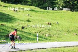 27.06.2024, Juf, Switzerland (SUI): Joscha Burkhalter (SUI) - Biathlon summer training, Juf (SUI). www.nordicfocus.com. © Manzoni/NordicFocus. Every downloaded picture is fee-liable.