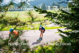 06.06.2024, Lavaze, Italy (ITA): Jesper Nelin (SWE) - Biathlon summer training, Lavaze (ITA). www.nordicfocus.com. © Barbieri/NordicFocus. Every downloaded picture is fee-liable.