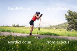 19.06.2024, Lavaze, Italy (ITA): Dorothea Wierer (ITA) - Biathlon summer training, Lavaze (ITA). www.nordicfocus.com. © Vanzetta/NordicFocus. Every downloaded picture is fee-liable.