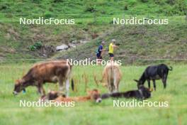 04.09.2024, Lenzerheide, Switzerland (SUI): Endre Stroemsheim (NOR), Tarjei Boe (NOR), (l-r) - Biathlon summer training, Lenzerheide (SUI). www.nordicfocus.com. © Manzoni/NordicFocus. Every downloaded picture is fee-liable.