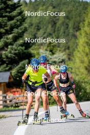 02.09.2024, Font-Romeu, France (FRA): Hanna Oeberg (SWE) - Biathlon summer training, Font-Romeu (FRA). www.nordicfocus.com. © Authamayou/NordicFocus. Every downloaded picture is fee-liable.