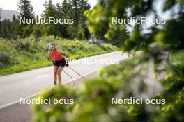 19.06.2024, Lavaze, Italy (ITA): Dorothea Wierer (ITA) - Biathlon summer training, Lavaze (ITA). www.nordicfocus.com. © Vanzetta/NordicFocus. Every downloaded picture is fee-liable.