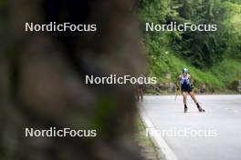 20.06.2024, Lavaze, Italy (ITA): Dorothea Wierer (ITA) - Biathlon summer training, Lavaze (ITA). www.nordicfocus.com. © Vanzetta/NordicFocus. Every downloaded picture is fee-liable.