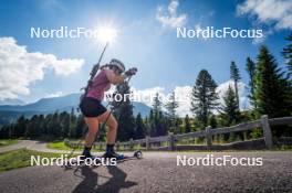 06.08.2024, Lavaze, Italy (ITA): Lisa Osl (AUT) - Biathlon summer training, Lavaze (ITA). www.nordicfocus.com. © Barbieri/NordicFocus. Every downloaded picture is fee-liable.