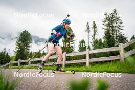 15.06.2024, Lavaze, Italy (ITA): Anna-Karin Heijdenberg (SWE) - Biathlon summer training, Lavaze (ITA). www.nordicfocus.com. © Barbieri/NordicFocus. Every downloaded picture is fee-liable.