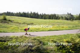 19.06.2024, Lavaze, Italy (ITA): Dorothea Wierer (ITA) - Biathlon summer training, Lavaze (ITA). www.nordicfocus.com. © Vanzetta/NordicFocus. Every downloaded picture is fee-liable.