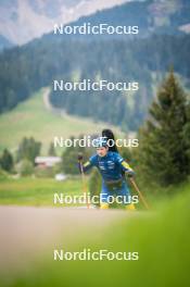 15.06.2024, Lavaze, Italy (ITA): Jesper Nelin (SWE) - Biathlon summer training, Lavaze (ITA). www.nordicfocus.com. © Barbieri/NordicFocus. Every downloaded picture is fee-liable.