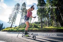 06.08.2024, Lavaze, Italy (ITA): Anna Gandler (AUT) - Biathlon summer training, Lavaze (ITA). www.nordicfocus.com. © Barbieri/NordicFocus. Every downloaded picture is fee-liable.