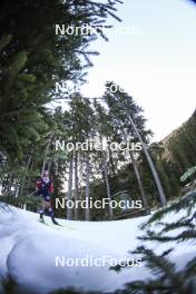 07.11.2024, Davos, Switzerland (SUI): Lisa Theresa Hauser (AUT) - Biathlon training, snowfarming track, Davos (SUI). www.nordicfocus.com. © Manzoni/NordicFocus. Every downloaded picture is fee-liable.