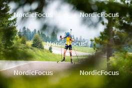 15.06.2024, Lavaze, Italy (ITA): Hanna Oeberg (SWE) - Biathlon summer training, Lavaze (ITA). www.nordicfocus.com. © Barbieri/NordicFocus. Every downloaded picture is fee-liable.