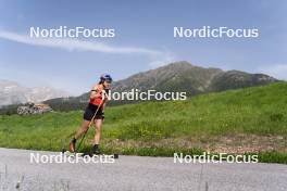 19.06.2024, Lavaze, Italy (ITA): Dorothea Wierer (ITA) - Biathlon summer training, Lavaze (ITA). www.nordicfocus.com. © Vanzetta/NordicFocus. Every downloaded picture is fee-liable.