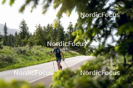 19.06.2024, Lavaze, Italy (ITA): Tommaso Giacomel (ITA) - Biathlon summer training, Lavaze (ITA). www.nordicfocus.com. © Vanzetta/NordicFocus. Every downloaded picture is fee-liable.