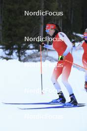 07.11.2024, Davos, Switzerland (SUI): Aita Gasparin (SUI) - Biathlon training, snowfarming track, Davos (SUI). www.nordicfocus.com. © Manzoni/NordicFocus. Every downloaded picture is fee-liable.