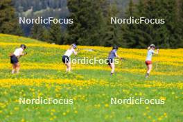 20.05.2024, Lenzerheide, Switzerland (SUI): Lea Meier (SUI), Alessia Laager (SUI), Aita Gasparin (SUI), Elisa Gasparin (SUI), (l-r) - Biathlon summer training, Lenzerheide (SUI). www.nordicfocus.com. © Manzoni/NordicFocus. Every downloaded picture is fee-liable.