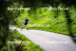 06.06.2024, Lavaze, Italy (ITA): Jesper Nelin (SWE) - Biathlon summer training, Lavaze (ITA). www.nordicfocus.com. © Barbieri/NordicFocus. Every downloaded picture is fee-liable.