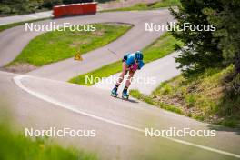 06.06.2024, Lavaze, Italy (ITA): Elvira Oeberg (SWE) - Biathlon summer training, Lavaze (ITA). www.nordicfocus.com. © Barbieri/NordicFocus. Every downloaded picture is fee-liable.