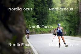 20.06.2024, Lavaze, Italy (ITA): Dorothea Wierer (ITA) - Biathlon summer training, Lavaze (ITA). www.nordicfocus.com. © Vanzetta/NordicFocus. Every downloaded picture is fee-liable.