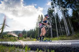 06.08.2024, Lavaze, Italy (ITA): Dunja Zdouc (AUT) - Biathlon summer training, Lavaze (ITA). www.nordicfocus.com. © Barbieri/NordicFocus. Every downloaded picture is fee-liable.