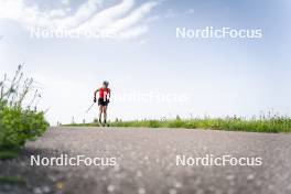 19.06.2024, Lavaze, Italy (ITA): Dorothea Wierer (ITA) - Biathlon summer training, Lavaze (ITA). www.nordicfocus.com. © Vanzetta/NordicFocus. Every downloaded picture is fee-liable.