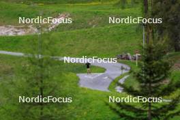 20.05.2024, Lenzerheide, Switzerland (SUI): Alessia Laager (SUI) - Biathlon summer training, Lenzerheide (SUI). www.nordicfocus.com. © Manzoni/NordicFocus. Every downloaded picture is fee-liable.