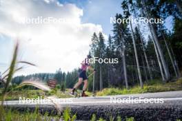 06.08.2024, Lavaze, Italy (ITA): Kristina Oberthaler (AUT) - Biathlon summer training, Lavaze (ITA). www.nordicfocus.com. © Barbieri/NordicFocus. Every downloaded picture is fee-liable.