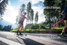 06.08.2024, Lavaze, Italy (ITA): Anna Gandler (AUT) - Biathlon summer training, Lavaze (ITA). www.nordicfocus.com. © Barbieri/NordicFocus. Every downloaded picture is fee-liable.