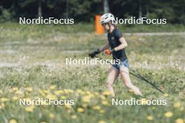 19.05.2024, Forni Avoltri, Italy (ITA): Michela Carrara (ITA) - Biathlon summer training, Forni Avoltri (ITA). www.nordicfocus.com. © Del Fabbro/NordicFocus. Every downloaded picture is fee-liable.