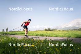 19.06.2024, Lavaze, Italy (ITA): Dorothea Wierer (ITA) - Biathlon summer training, Lavaze (ITA). www.nordicfocus.com. © Vanzetta/NordicFocus. Every downloaded picture is fee-liable.