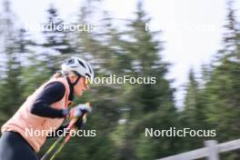 16.09.2024, Lenzerheide, Switzerland (SUI): Amy Baserga (SUI) - Biathlon summer training, Lenzerheide (SUI). www.nordicfocus.com. © Manzoni/NordicFocus. Every downloaded picture is fee-liable.