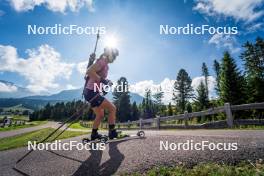 06.08.2024, Lavaze, Italy (ITA): Anna Gandler (AUT) - Biathlon summer training, Lavaze (ITA). www.nordicfocus.com. © Barbieri/NordicFocus. Every downloaded picture is fee-liable.