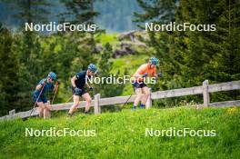 15.06.2024, Lavaze, Italy (ITA): Malte Stefansson (SWE), Martin Ponsiluoma (SWE), Viktor Brandt (SWE), (l-r)  - Biathlon summer training, Lavaze (ITA). www.nordicfocus.com. © Barbieri/NordicFocus. Every downloaded picture is fee-liable.