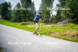 15.06.2024, Lavaze, Italy (ITA): Anton Ivarsson (SWE) - Biathlon summer training, Lavaze (ITA). www.nordicfocus.com. © Barbieri/NordicFocus. Every downloaded picture is fee-liable.