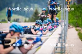 15.06.2024, Lavaze, Italy (ITA): Elvira Oeberg (SWE) - Biathlon summer training, Lavaze (ITA). www.nordicfocus.com. © Barbieri/NordicFocus. Every downloaded picture is fee-liable.