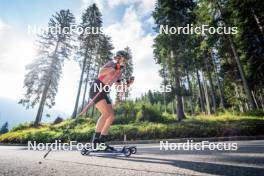 06.08.2024, Lavaze, Italy (ITA): Anna Juppe (AUT) - Biathlon summer training, Lavaze (ITA). www.nordicfocus.com. © Barbieri/NordicFocus. Every downloaded picture is fee-liable.