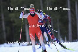 07.11.2024, Davos, Switzerland (SUI): Elisa Gasparin (SUI) - Biathlon training, snowfarming track, Davos (SUI). www.nordicfocus.com. © Manzoni/NordicFocus. Every downloaded picture is fee-liable.