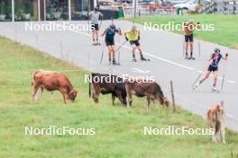 04.09.2024, Lenzerheide, Switzerland (SUI): Vetle Sjaastad Christiansen (NOR), Tarjei Boe (NOR), Marthe Krakstad Johansen (NOR), (l-r) - Biathlon summer training, Lenzerheide (SUI). www.nordicfocus.com. © Manzoni/NordicFocus. Every downloaded picture is fee-liable.