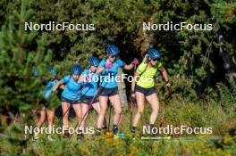 02.09.2024, Font-Romeu, France (FRA): Ella Halvarsson (SWE), Anna Karin Heijdenberg (SWE), Elvira Oeberg (SWE), Hanna Oeberg (SWE), (l-r) - Biathlon summer training, Font-Romeu (FRA). www.nordicfocus.com. © Authamayou/NordicFocus. Every downloaded picture is fee-liable.