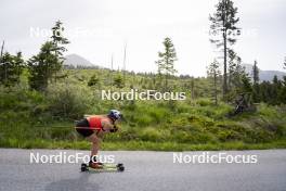 19.06.2024, Lavaze, Italy (ITA): Dorothea Wierer (ITA) - Biathlon summer training, Lavaze (ITA). www.nordicfocus.com. © Vanzetta/NordicFocus. Every downloaded picture is fee-liable.